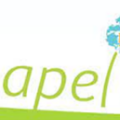 Logo copie