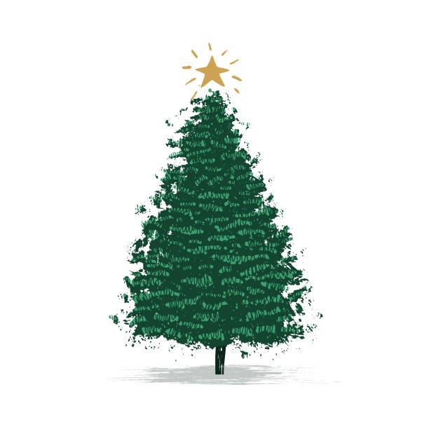 Sapin